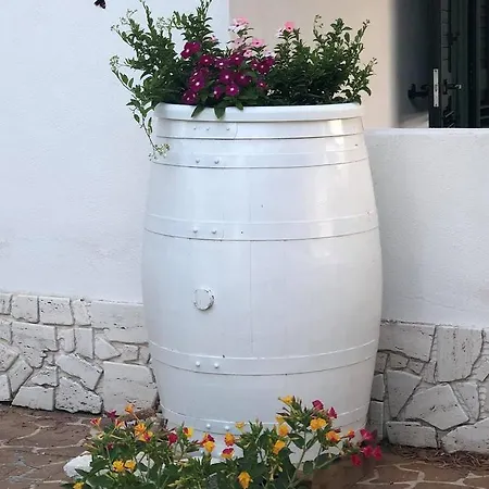 Dolce Far Niente Vieste