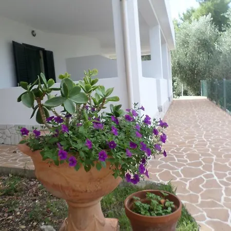 Dolce Far Niente شقة فندقية